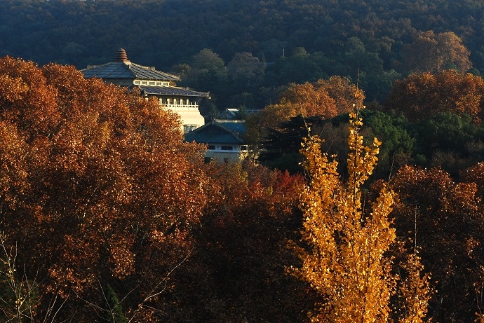 DSC_0081.jpg