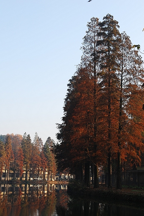 DSC_00091 (19).jpg