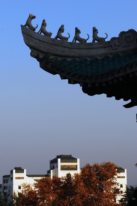 DSC_0077.jpg