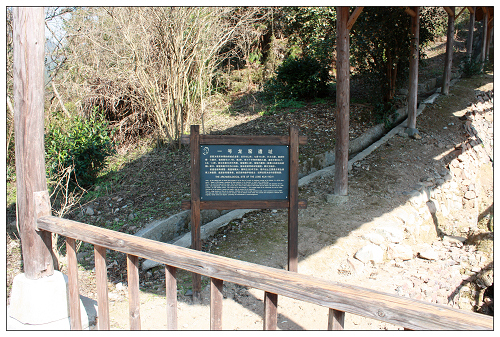 IMG_1774.jpg