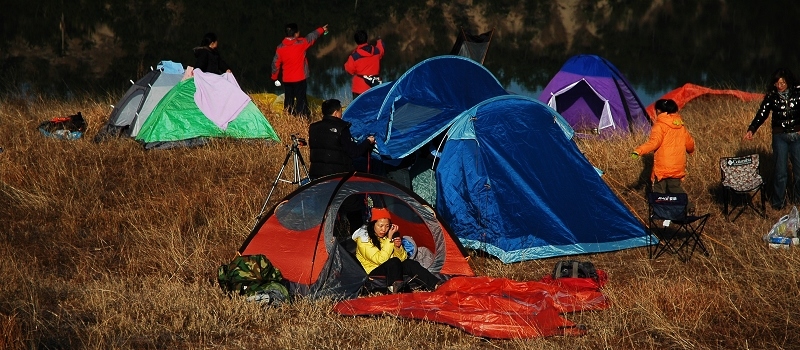 DSC_0224.jpg