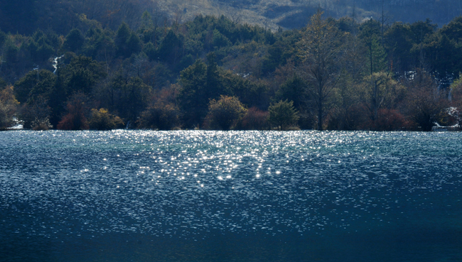 DSC_0304.JPG