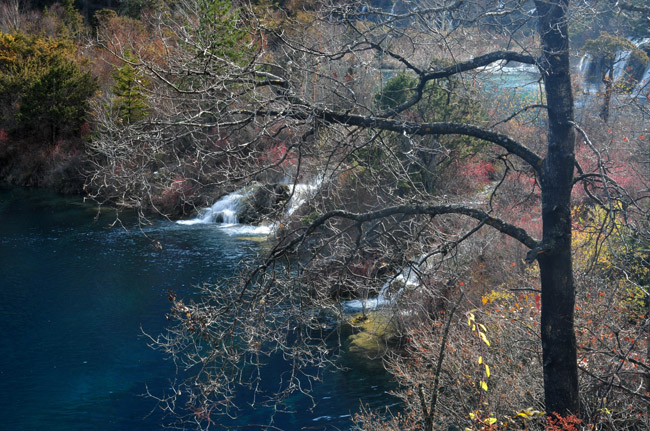 DSC_2775.jpg