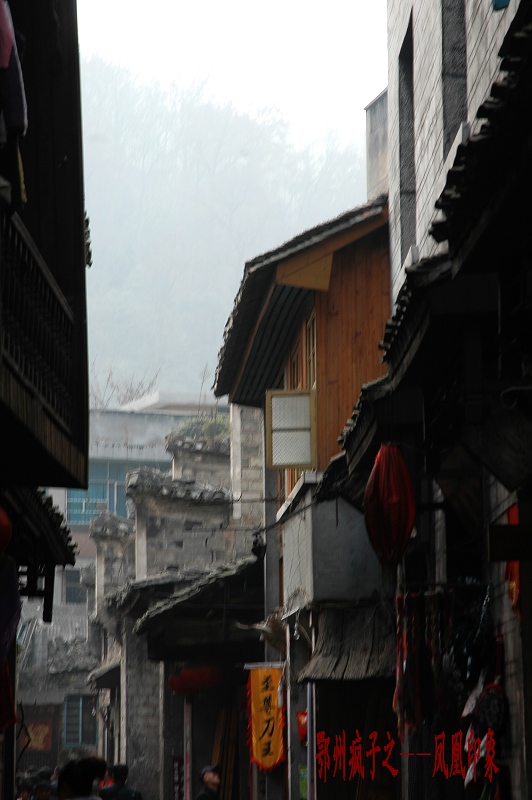DSC_0430.jpg