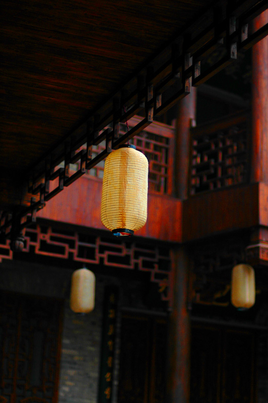 DSC_0445.jpg