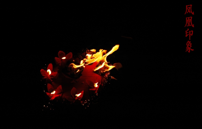 DSC_0693.jpg