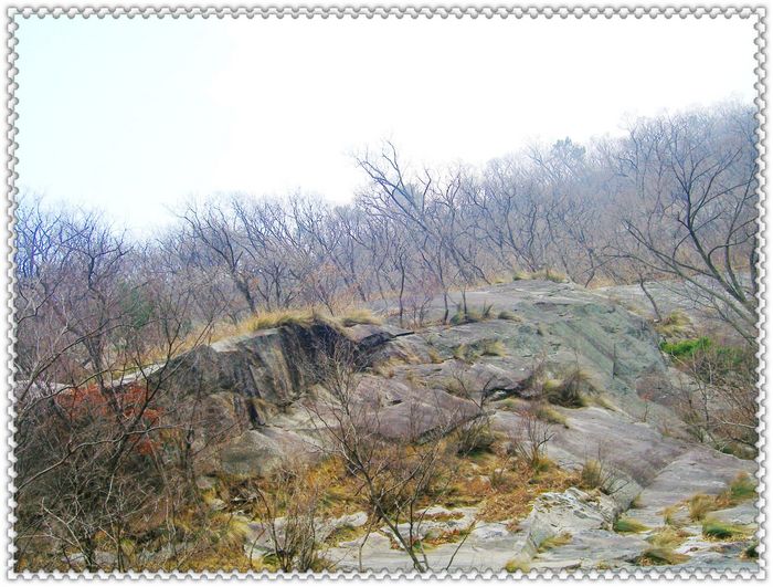 CIMG0120.JPG