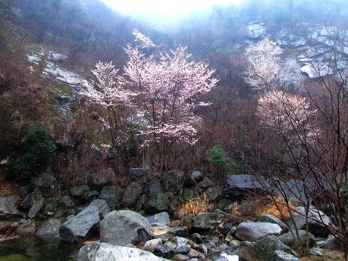 DSCF5180.jpg