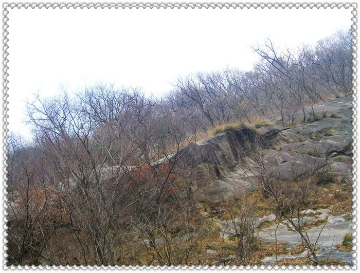 CIMG0121.JPG