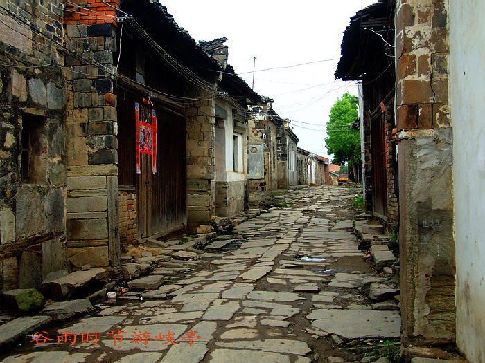 DSCF6486.jpg