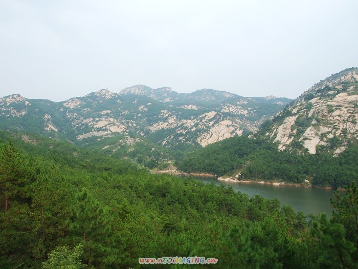 DSCF2991.jpg