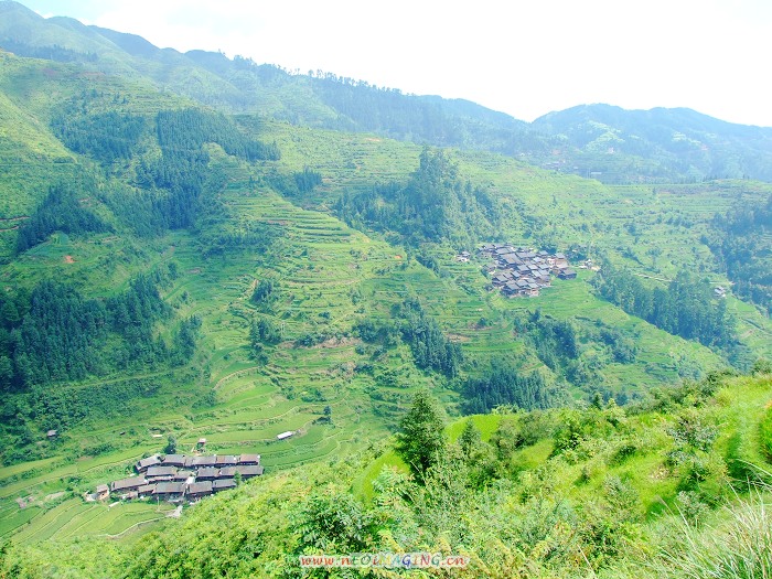 DSCF1574.jpg