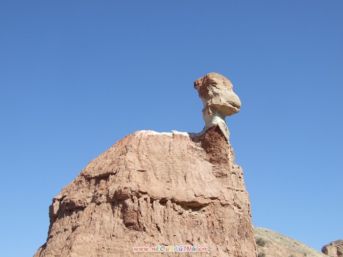 DSCF4111.JPG