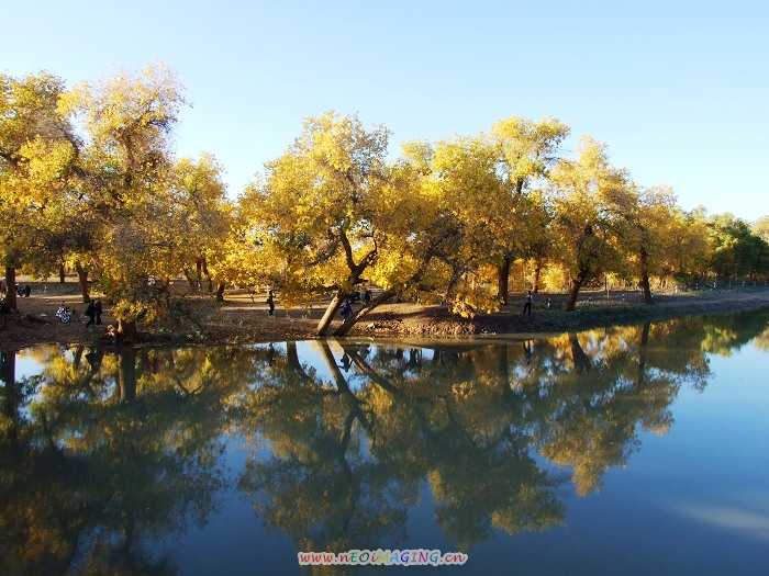 DSCF3716.JPG