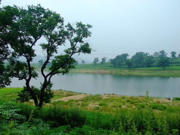 DSCF9205.jpg