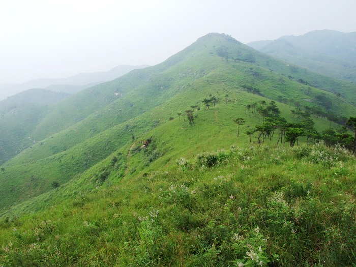 DSCF9050.jpg