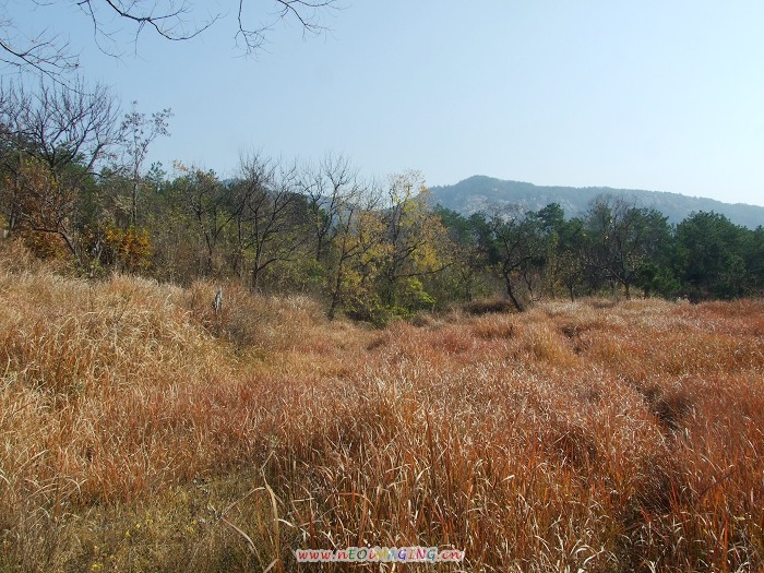 DSCF5629.jpg