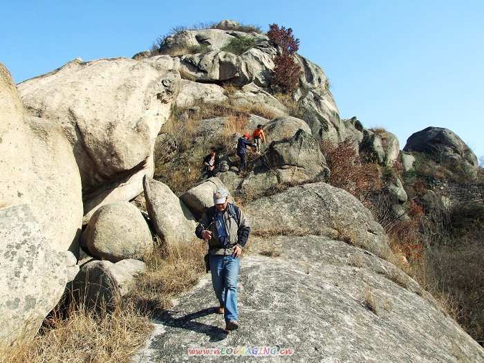 DSCF5738.jpg