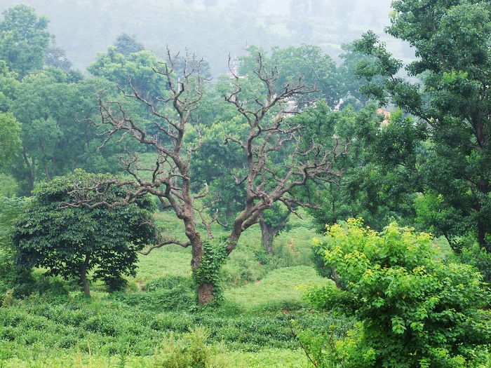 DSCF9218.jpg