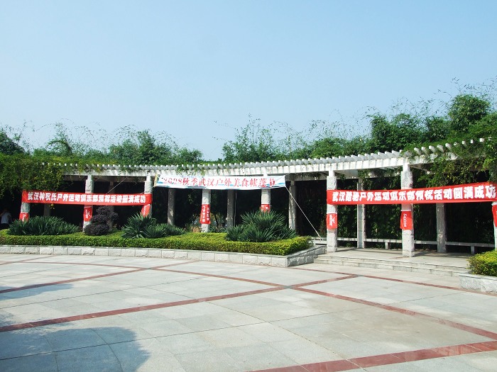 DSCF4654.jpg