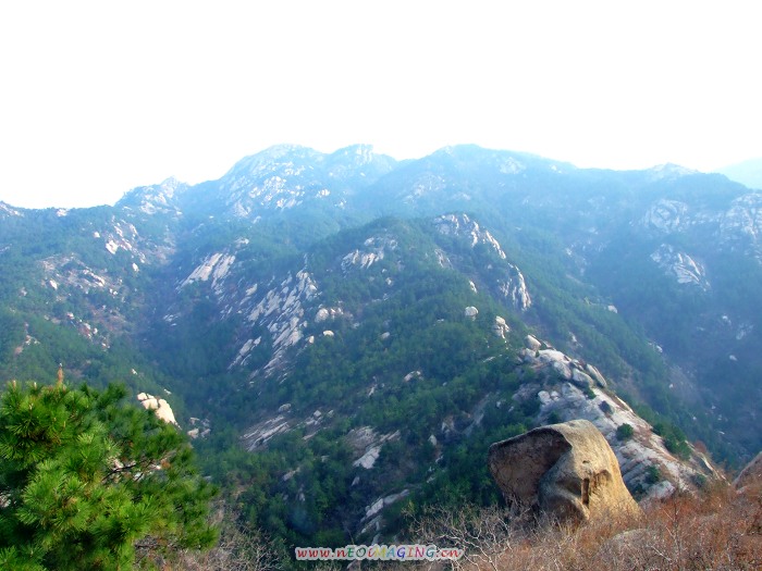 DSCF5594.jpg