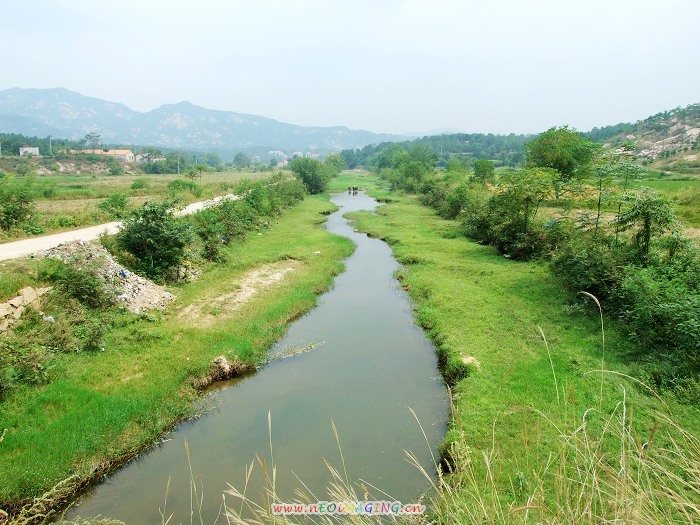 DSCF2951.jpg