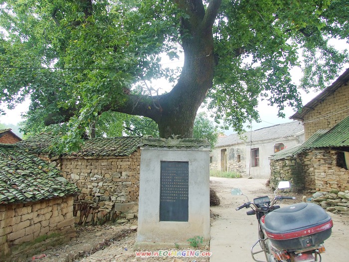 DSCF2938.jpg