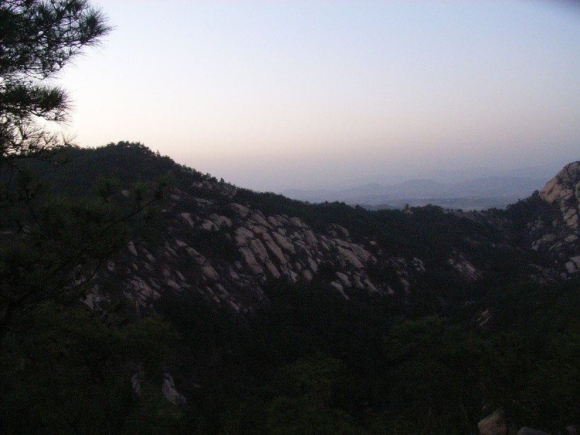 寂静山林