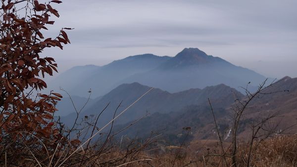 P1000257.JPG