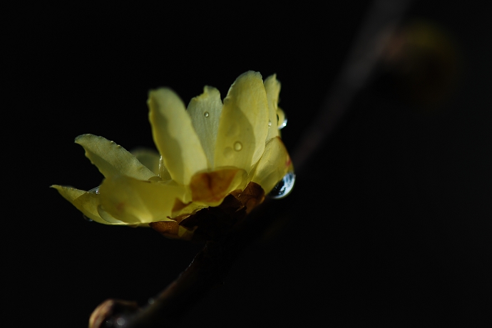 DSC_0030.jpg