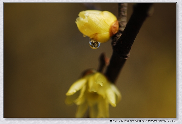 DSC_0003.jpg