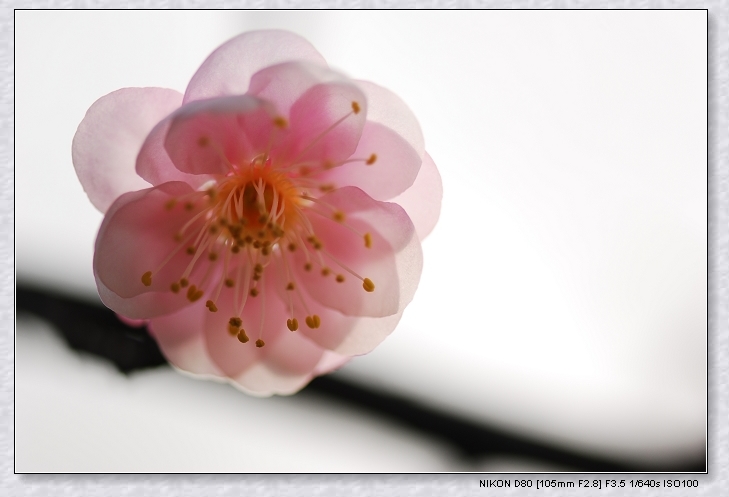 DSC_0051.jpg
