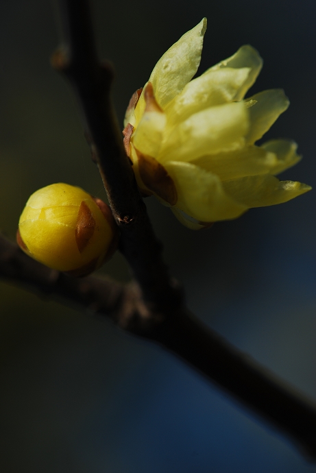 DSC_0011.jpg