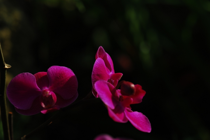 DSC_0024.jpg