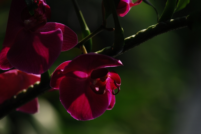 DSC_0011.jpg
