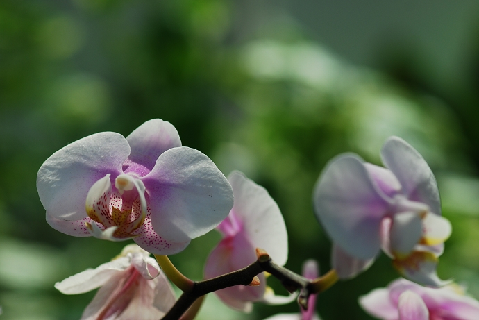 DSC_0023.jpg