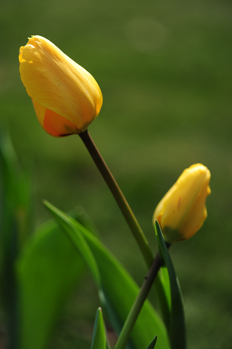 һ 048.jpg