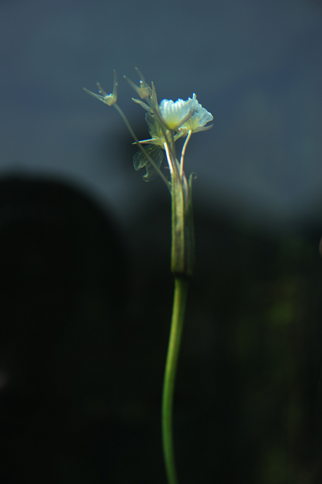 һ 075.jpg