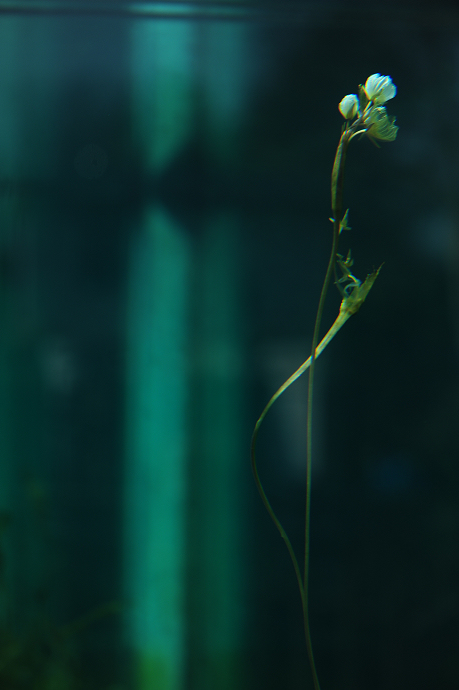 һ 073.jpg