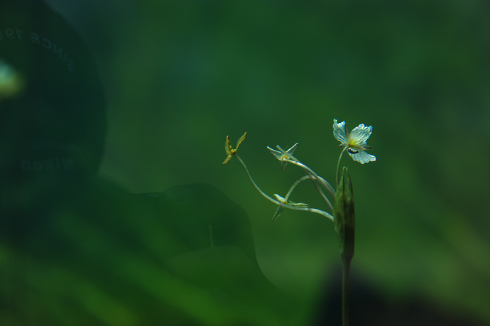 һ 072.jpg