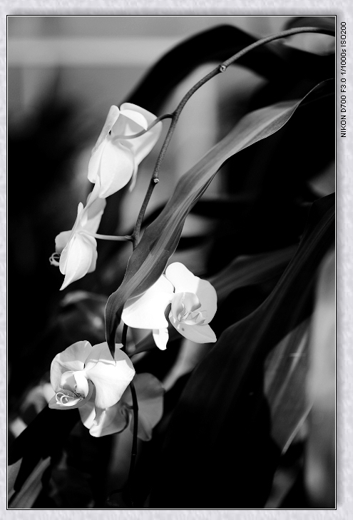 һ 026.jpg