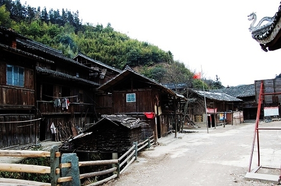 DSC_0304.jpg