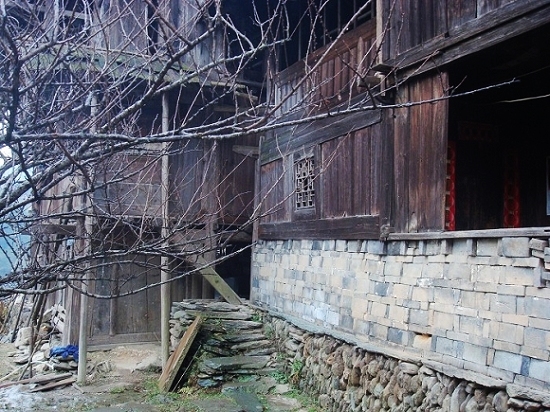 DSC05466.jpg