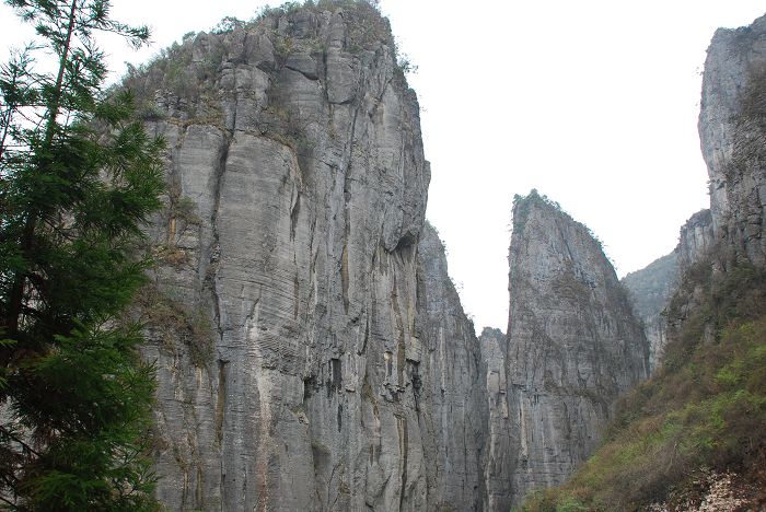 nEO_IMG_DSC_0123.jpg