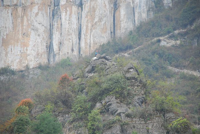 nEO_IMG_DSC_0041.jpg