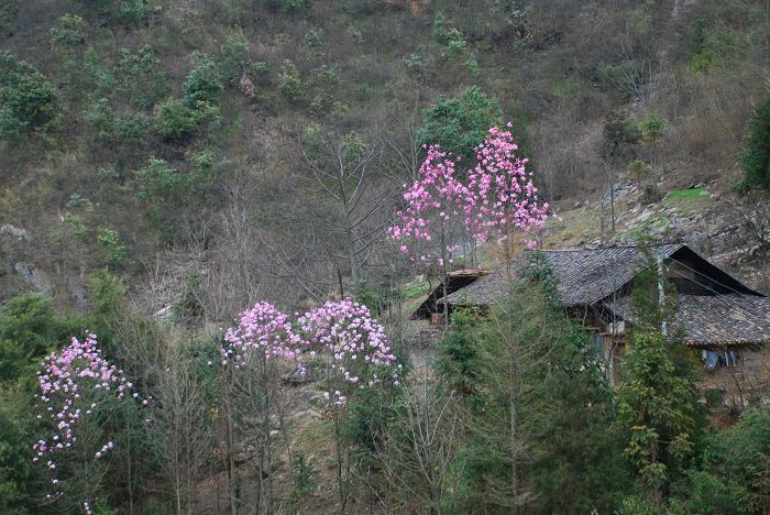nEO_IMG_DSC_0189.jpg