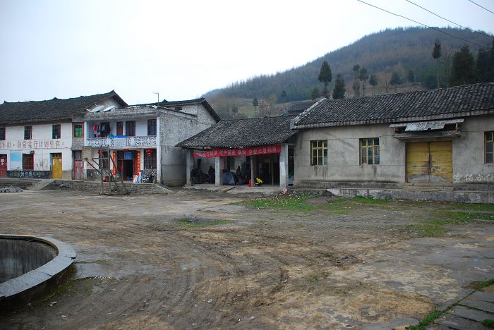 nEO_IMG_DSC_0195.jpg