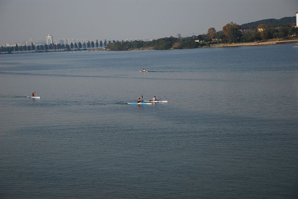 nEO_IMG_DSC_2336.jpg