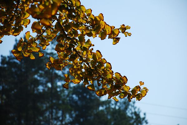 nEO_IMG_DSC_2571.jpg