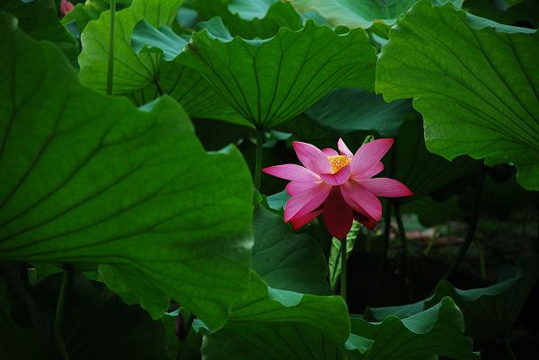 nEO_IMG_DSC_0026.jpg